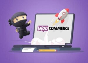 Why Choose WooCommerce for Your Online Store
