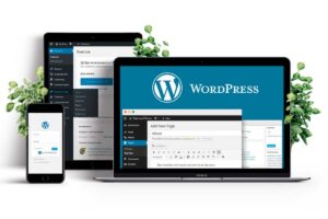 WordPress Developer in Delhi: How to Choose the Right Expert for Your Website